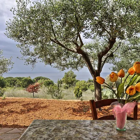 Del Lustrino Bilocale * Capoliveri (Isola d'Elba)